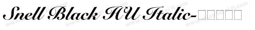 Snell Black HU Italic字体转换